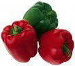 Bell Peppers